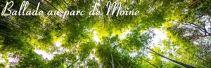 Parc de Moine à cholet