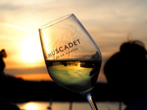 Verre de Muscadet